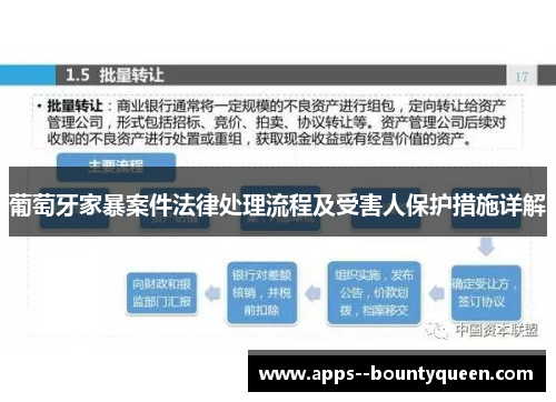 葡萄牙家暴案件法律处理流程及受害人保护措施详解